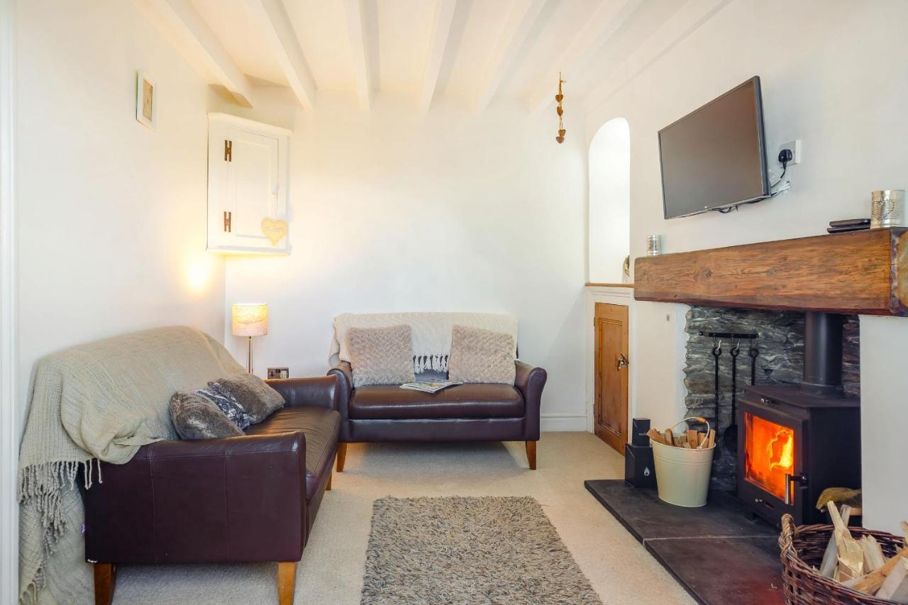 Braich-Y-Celyn Lodge Aberdyfi Extérieur photo